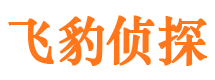 佳县市婚外情调查